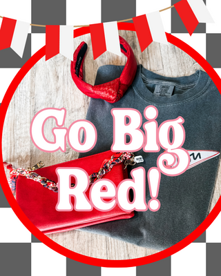 Red handbag, red shoes, and gray sweatshirt with 'Go Big Red!' text on a checkered background