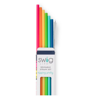 Rainbow Reusable Straw Set