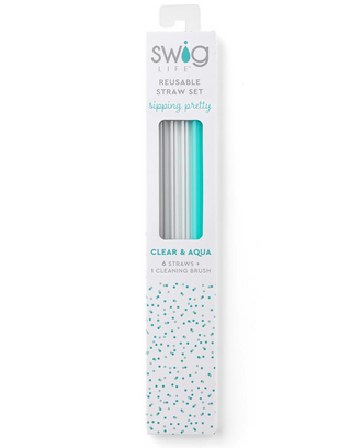 Clear & Aqua Reusable Straw Set