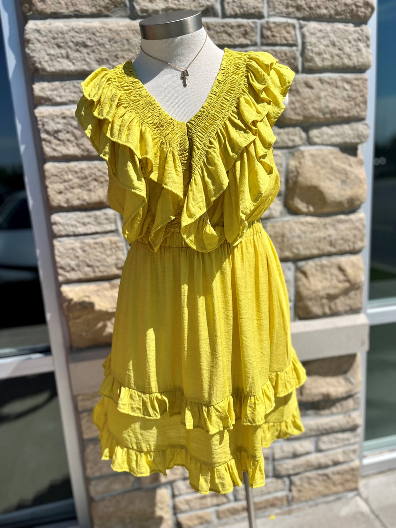 Mixed Emotions DressPlus (Citrus) Darling State of Mind