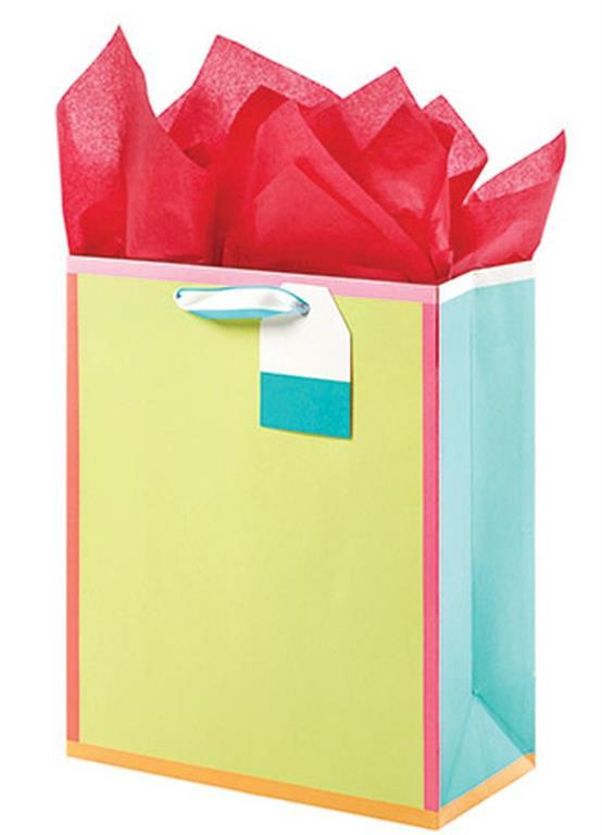 Brights Medium Gift Bag
