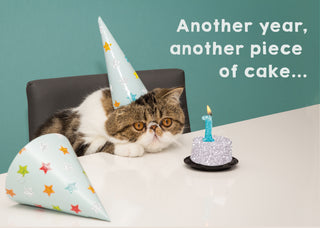 Cat wearing a birthday hat with a small cake and candle on a teal background