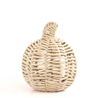 Small Brookshire Pumpkin Decor Natural