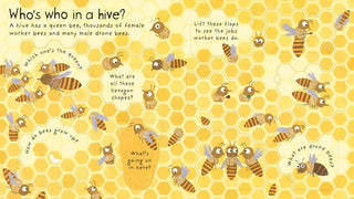 Why do we need bees? Book