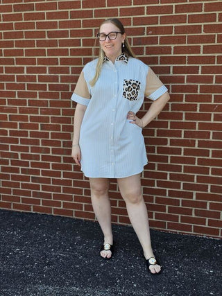 cheetah print & blue stripped button up dress