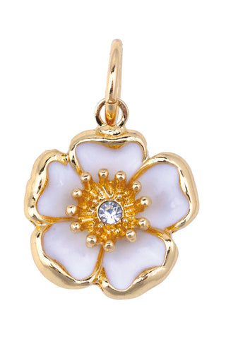 Charms