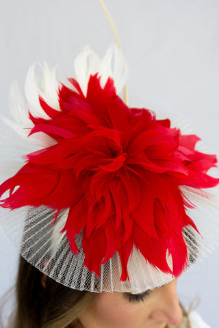 Red Fast Filly Fascinator
