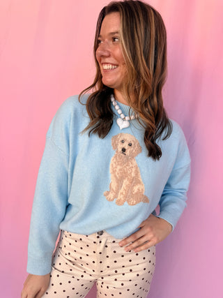 Golden Doodle Dog Sweater