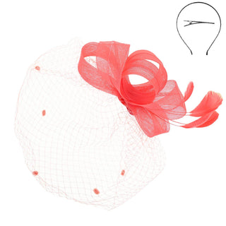 Mesh Fascinator with Feathers