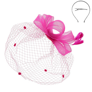 Mesh Fascinator with Feathers