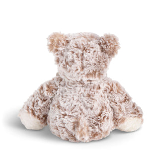 Plush teddy bear on a white background
