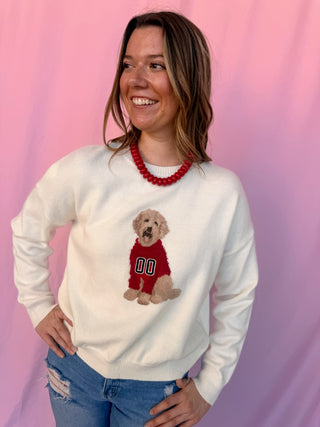 Game Day Dog Sweater