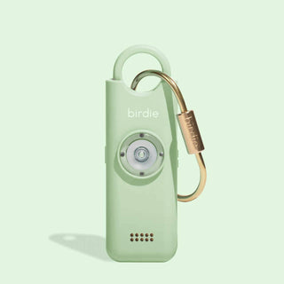 Mint green device with a gold carabiner on a light green background