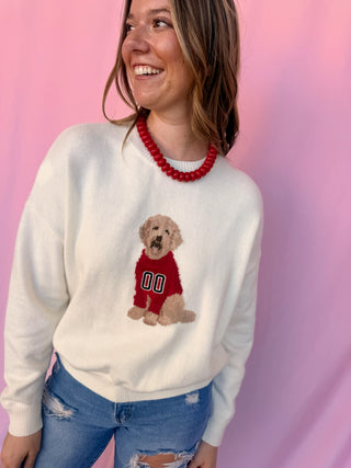 Game Day Dog Sweater