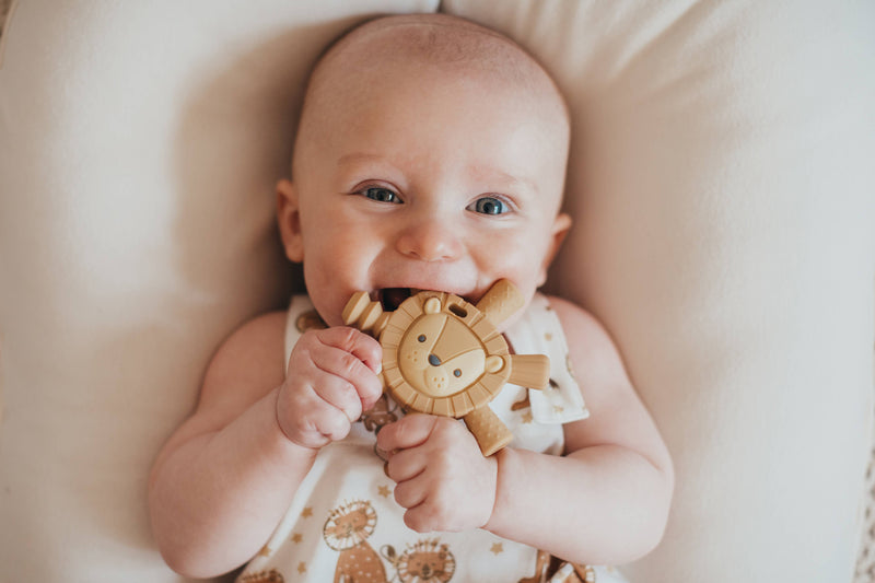 Ritzy Teether™ Baby Molar Teether: Lion