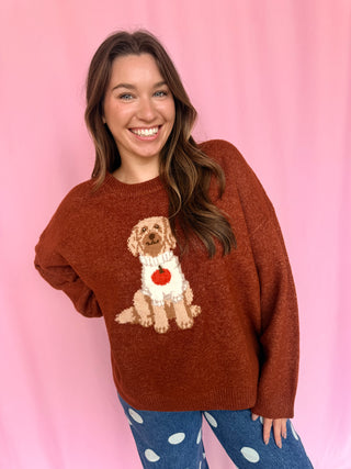 Pumpkin Sweater Doodle Dog
