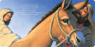 Christmas Baby Book