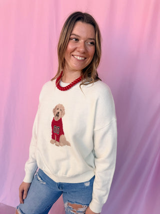 Game Day Dog Sweater