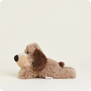 Junior Brown Dog Warmies