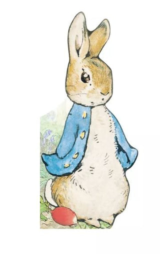 All About Peter Book