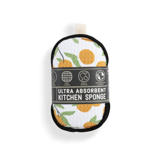 Citrus Orange Absorbent Sponges
