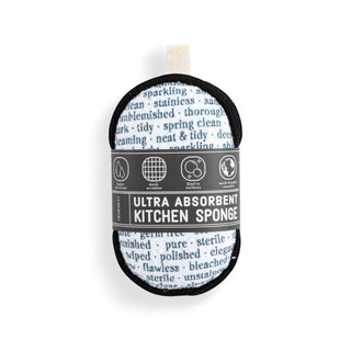 Clean Dirty Absorbent Sponges