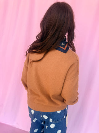 girl wearing a brown sweater on a pink background 