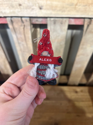 Red and black dog toy with 'ALEXIS' branding held by a hand against a wooden background.