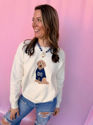 Game Day Dog Sweater