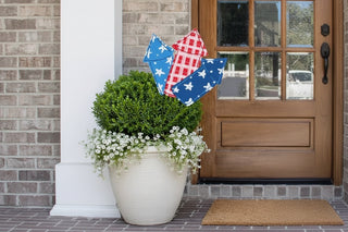 Fireworks Plastic Garden Stake