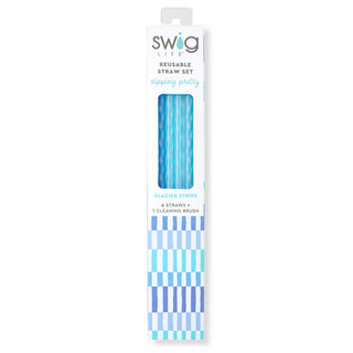 Glacier Stripe Reusable Straw Set