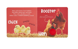 Hear & Feel Farm Board Book