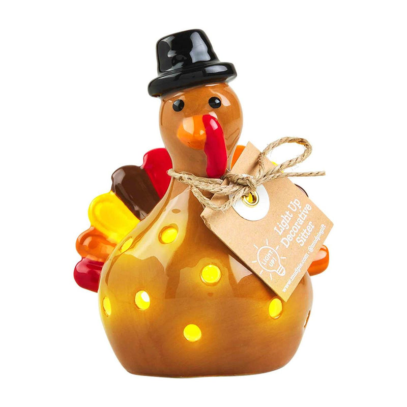 Light Up Turkey Sitter