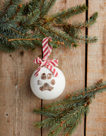 Paw Print Ornament Kit