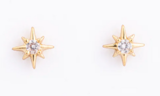 Banner Earring