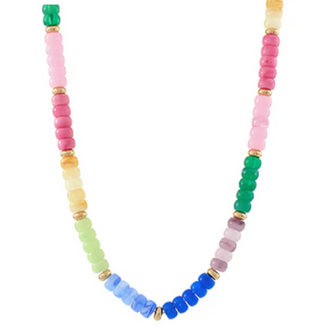 Multi Color Beaded Necklace