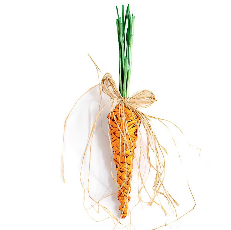 Willow Carrot Orange Decor