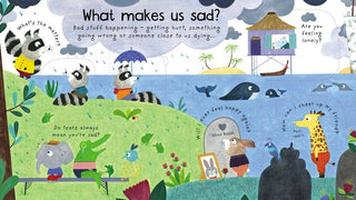 What are Feelings? Book