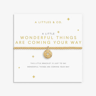 Gold bracelet with a circular charm on a white card with text, featuring 'A Littles & Co.' brand.