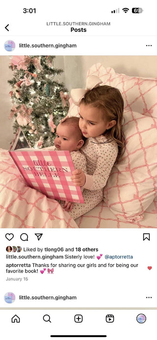 Little Southern Belle Book