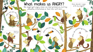 What are Feelings? Book