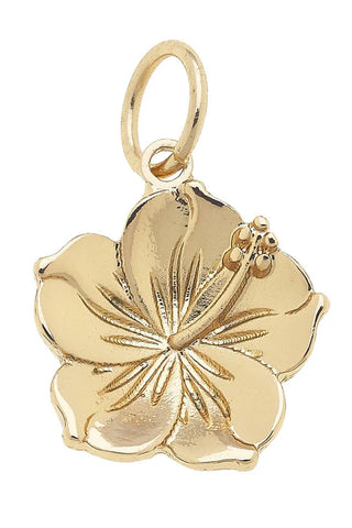 Charms