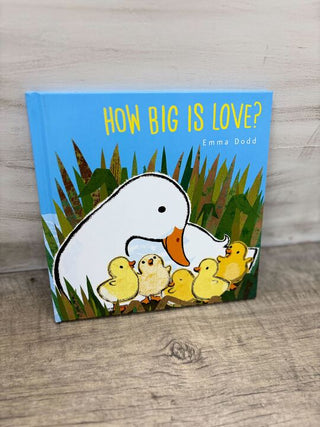 How Big Is Love? Book