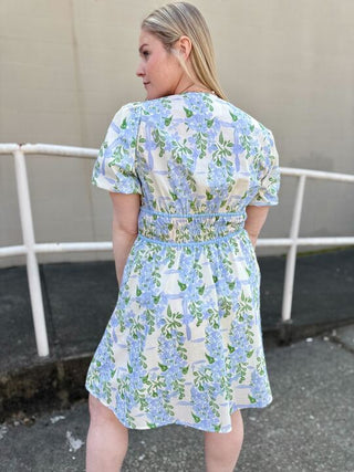 Wildflower Valley Dress Curvy