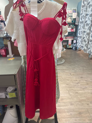 Dripped in Roses Dress