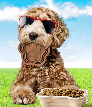 Collapsible Doggie Dish Brown
