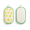 Lemons Absorbent Sponges