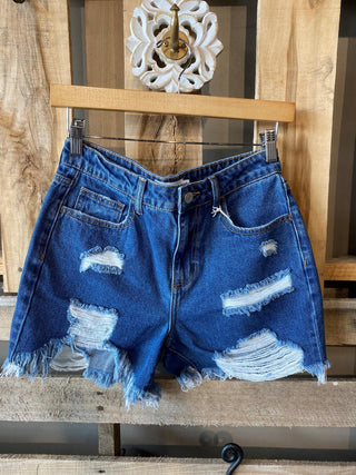 Alexia High Rise Shorts