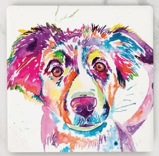 Australian Shepherd Coaster