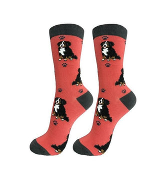 Bernese Mt. Dog Socks